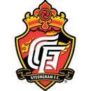 首尔FC