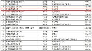 中国民营企业排名：苏宁高居第二，恒大第十二