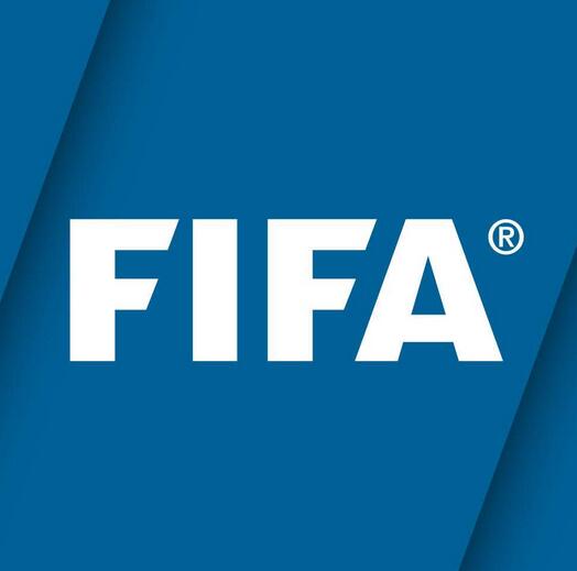FIFA:南非对阵塞内加尔的世界杯预选赛将重赛